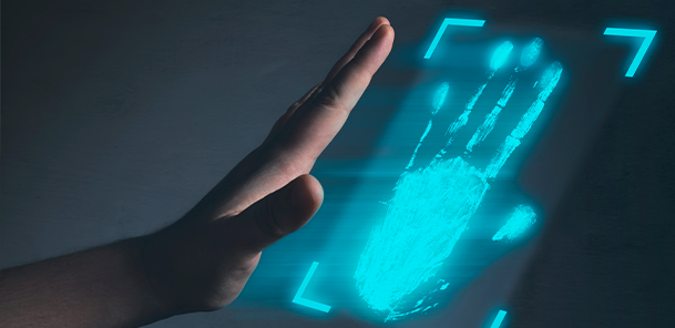 Representation image for Biometric identification